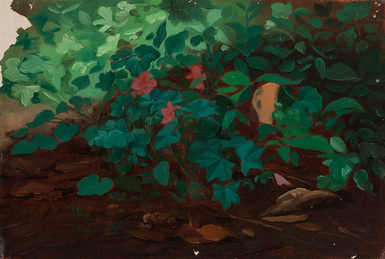 Studio di foglie - Finnish National Gallery